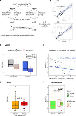 The impact of tumor metabolic activity assessed by 18F-FET amino acid PET imaging in particle radiotherapy of high-grade glioma patients